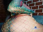 Pilarcachinhos cam4 livecam show performer room profile