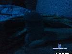 llpower1 cam4 livecam show performer room profile