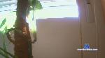 nersindo cam4 livecam show performer room profile
