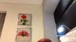 homercol1 cam4 livecam show performer room profile