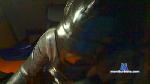 rubberfanxxx cam4 livecam show performer room profile