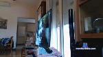 bisporty_xxx cam4 livecam show performer room profile