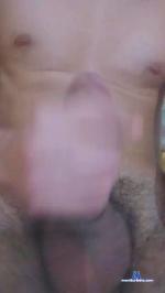 camcuarentena cam4 livecam show performer room profile