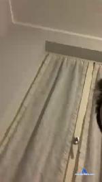 Luca2395 cam4 livecam show performer room profile