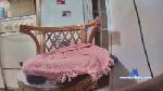 chatem cam4 livecam show performer room profile