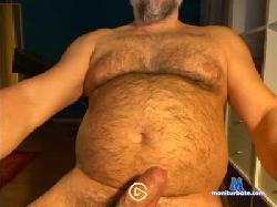 bear4furry cam4 live cam performer profile