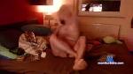 bbgay7880 cam4 livecam show performer room profile