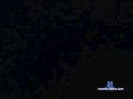 Kavaluccio cam4 livecam show performer room profile