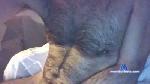 Hairymart cam4 livecam show performer room profile