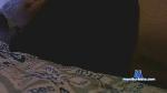 katya53xxx cam4 livecam show performer room profile