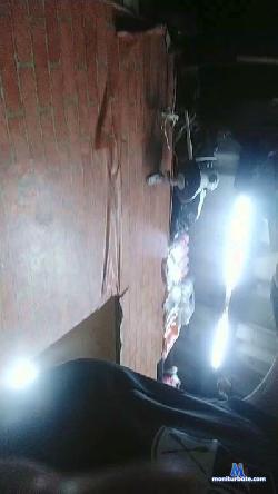 show130 cam4 live cam performer profile