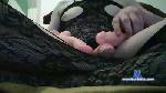 aspi821 cam4 livecam show performer room profile