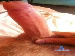 cut_jackerdude cam4 livecam show performer room profile