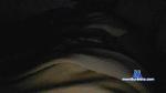 lorenzox4 cam4 livecam show performer room profile