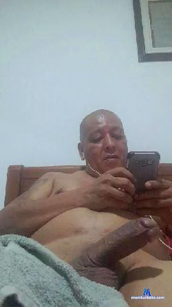 PITBULL271 cam4 live cam performer profile