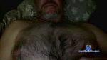 DaddyIsAHung1 cam4 livecam show performer room profile