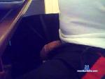 steiff01 cam4 livecam show performer room profile