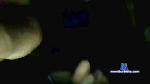 mateusz199422 cam4 livecam show performer room profile