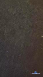 ameletmarc cam4 livecam show performer room profile