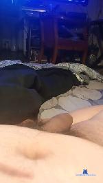 vergon396 cam4 livecam show performer room profile