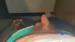 Essickm cam4 livecam show performer room profile
