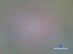 paraxi cam4 livecam show performer room profile
