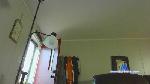 olddick5566 cam4 livecam show performer room profile