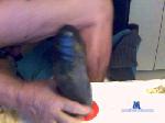 acortesi cam4 livecam show performer room profile