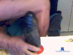 acortesi cam4 live cam performer profile