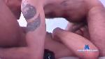 Hairybberlin cam4 livecam show performer room profile