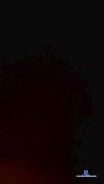 denver68 cam4 livecam show performer room profile