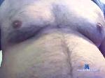 BearItaliano cam4 livecam show performer room profile