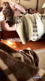 billw736 cam4 livecam show performer room profile