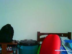 elacertijo cam4 live cam performer profile