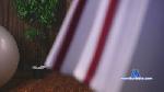 PetraBach cam4 livecam show performer room profile