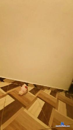 sofijohansx cam4 live cam performer profile