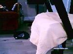 taylor_18_ cam4 livecam show performer room profile