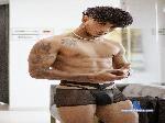 AlessandroVani2 cam4 livecam show performer room profile