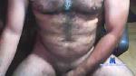 peluolatino cam4 livecam show performer room profile