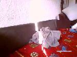 notoriouscol1 cam4 livecam show performer room profile