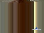 levlvenok cam4 livecam show performer room profile