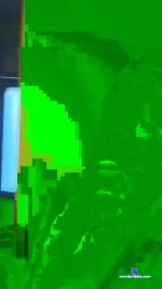 Missnvus cam4 livecam show performer room profile