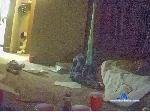 Lauratease cam4 livecam show performer room profile
