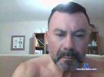 diebemu49 cam4 livecam show performer room profile