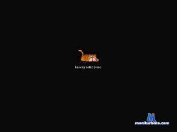 killero_hot cam4 live cam performer profile