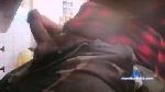 CarsonBG cam4 livecam show performer room profile