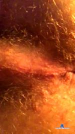 lolito222 cam4 livecam show performer room profile
