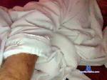 Shootshugcum420 cam4 livecam show performer room profile