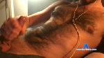 gisdude cam4 livecam show performer room profile
