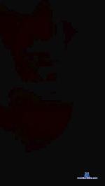 Lalouane cam4 livecam show performer room profile